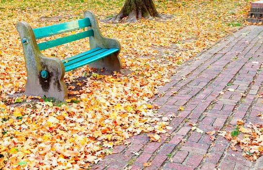 Image of a park bench surrounded by fallen leaves