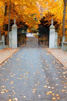 Image of walking alley and gates in autumn park