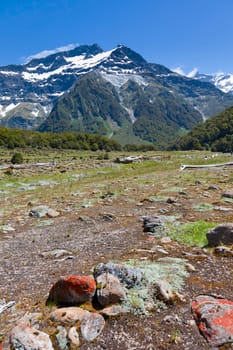 View of the snow capped mountains from the New Zealand Wilkin river valley.