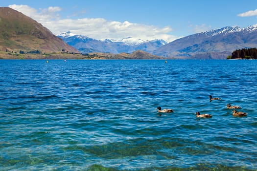 View of the clear water and mountains at lake Wanaka