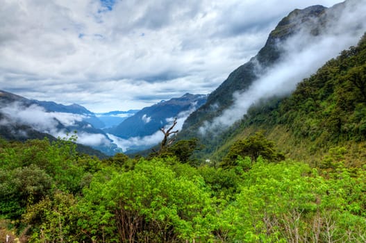 Scenic overlook of Doubtful Sound in New Zealand