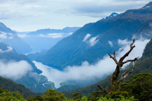Scenic overlook of Doubtful Sound in New Zealand