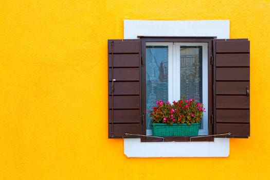Image of a window with shudders and decorated with flower box