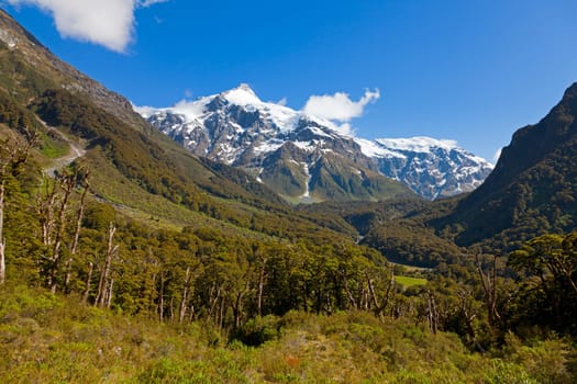 View from the valley towards snow capped peaks in New Zealand