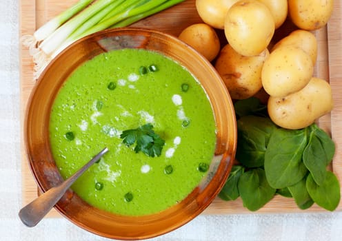 Homemade soup surrounded by fresh ingredients