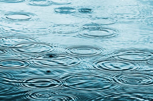 Rain drops on the water surface