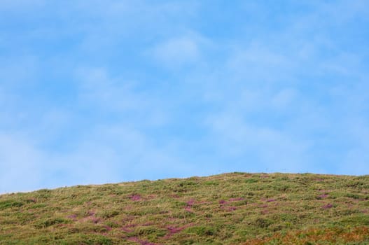 Landscape with a nice blue sky green field