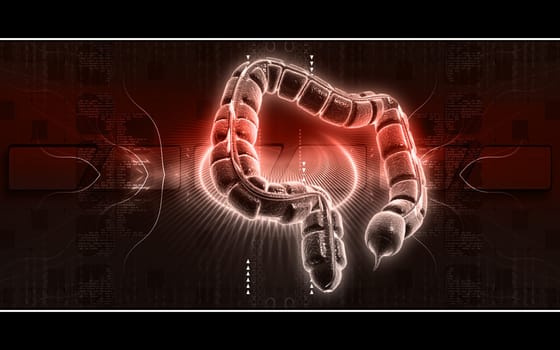 Digital illustration of large intestine in colour background