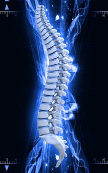 Digital illustration of back bone in colour background