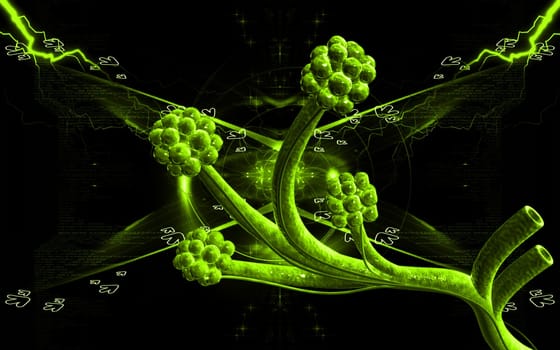 Digital illustration of alveoli in colour background