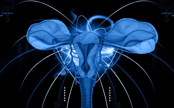 Digital illustration of Uterus in colour background