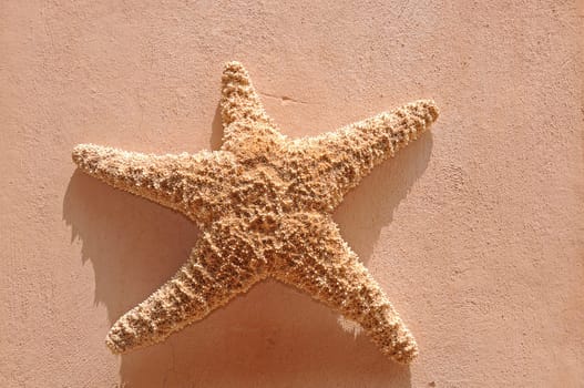 Starfish