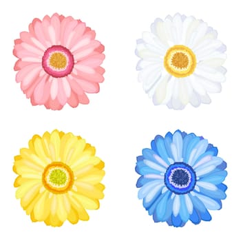 Daisy Gerbera set of four flowers. Isolated over white background.