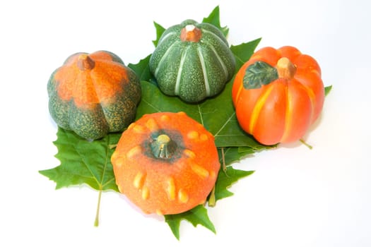 Pumpkins about four green leaf isolated on white background