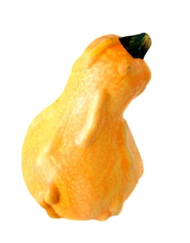 Yellow pumpkin isolated on a white background