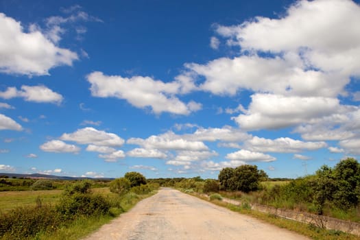 Beautiful sky with many clouds over a landscape