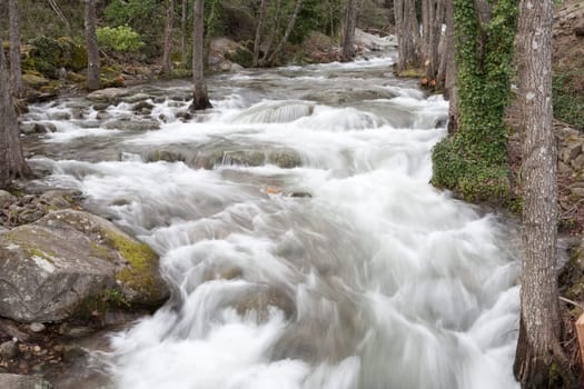 Beautiful landscape with water torrent in middle of the forest