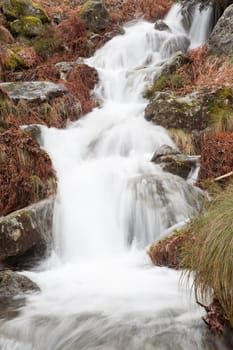 Beautiful landscape with water torrent in middle of the forest