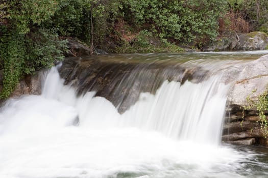 Beautiful landscape with water torrent in middle of the forest