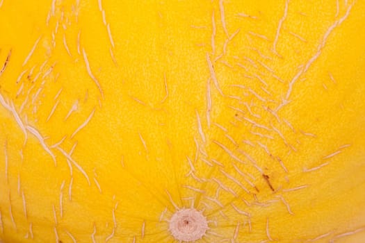 Yellow melon isolated over white background