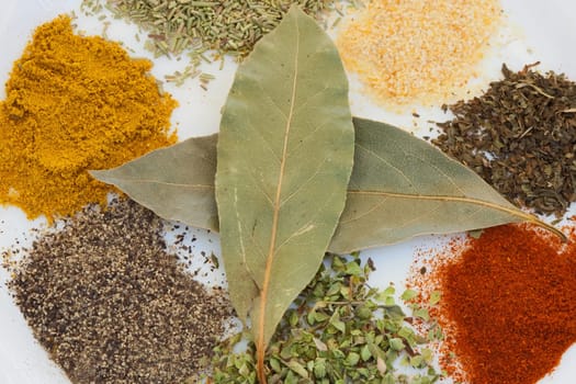 White dish with many spices of different colours
