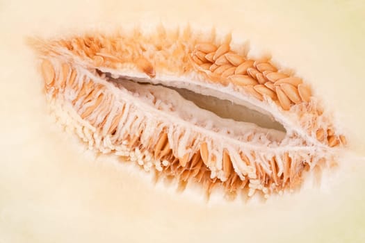 Half yellow melon isolated over white background