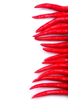 Column of red chilies as border on right