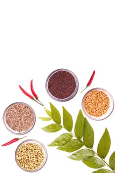 Colorful spices and herbs on white background