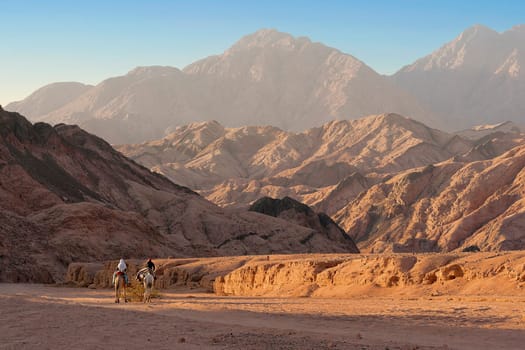 Through the Sinai Desert