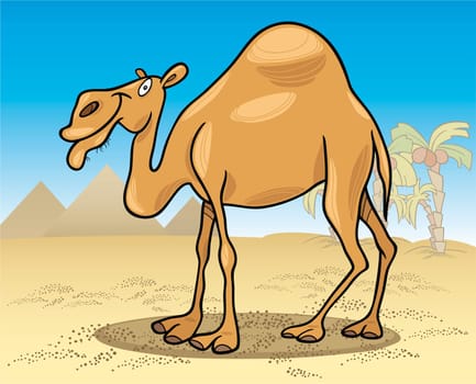 cartoon illustration of dromedary camel on desert