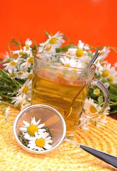 Camomile tea