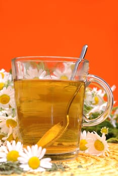 Camomile tea