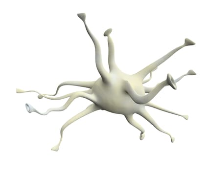 nerve cell