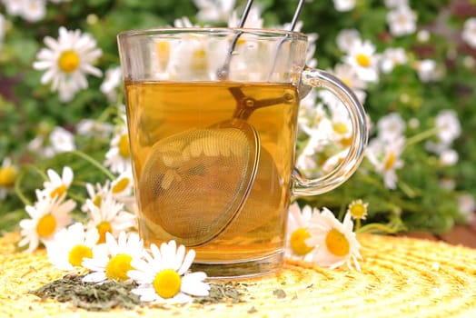 Camomile tea