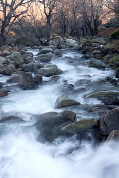 Beautiful landscape with water torrent in middle of the forest