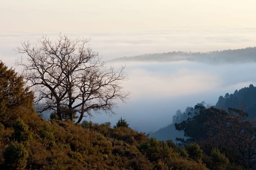 Beautiful view of a sea of clouds on the mountain