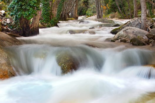 Beautiful landscape with water torrent in middle of the forest