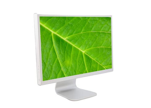 Computer monitor with leaf wallpaper isolated on white