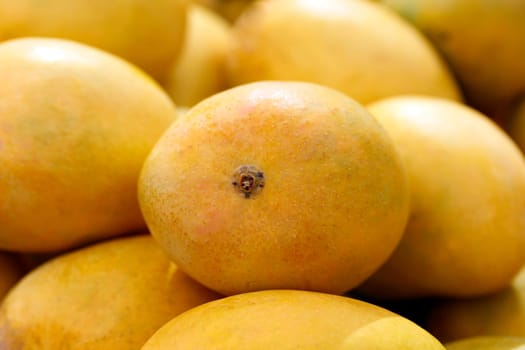 Few bright yellow indian alphonso mangoes on display