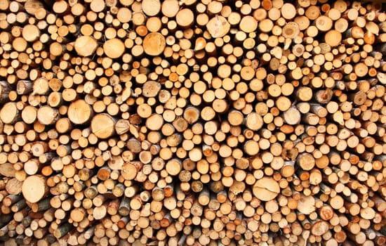 Pile of chopped fire wood prepared for winter