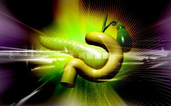 Digital illustration of pancreas in colour background