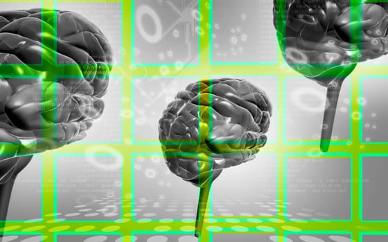 Digital illustration of brain in colour background