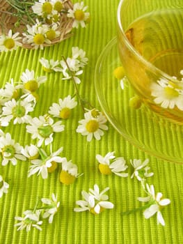 Chamomile flower tea