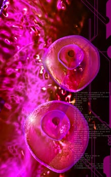Digital illustration of Ovum cell in colour background