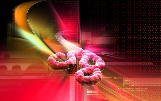 Digital illustration of Ebola virus in colour background
