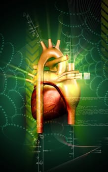 Digital illustration of heart in colour background
