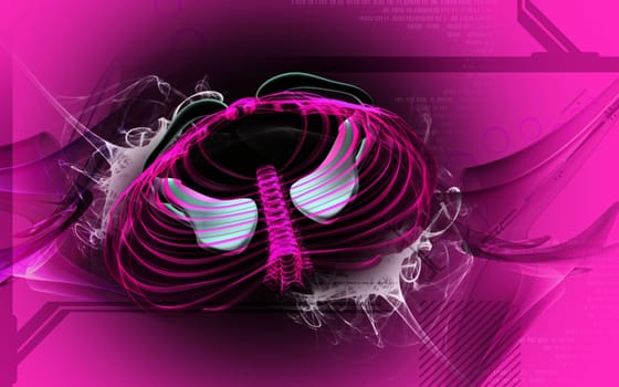 Digital illustration of collar bone in colour background