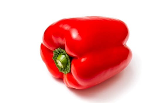 Green pepper closeup on white background