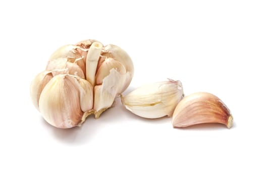 Garlic isolated on white background