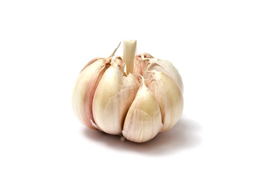 Garlic isolated on white background